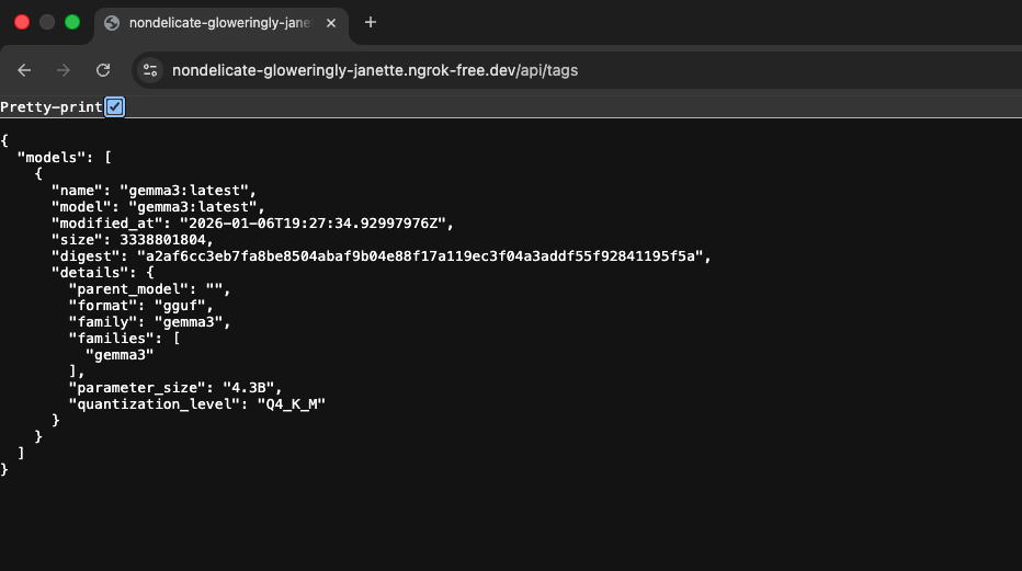 Access Ollama Server
